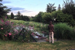 garten-11