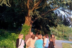 garten-9